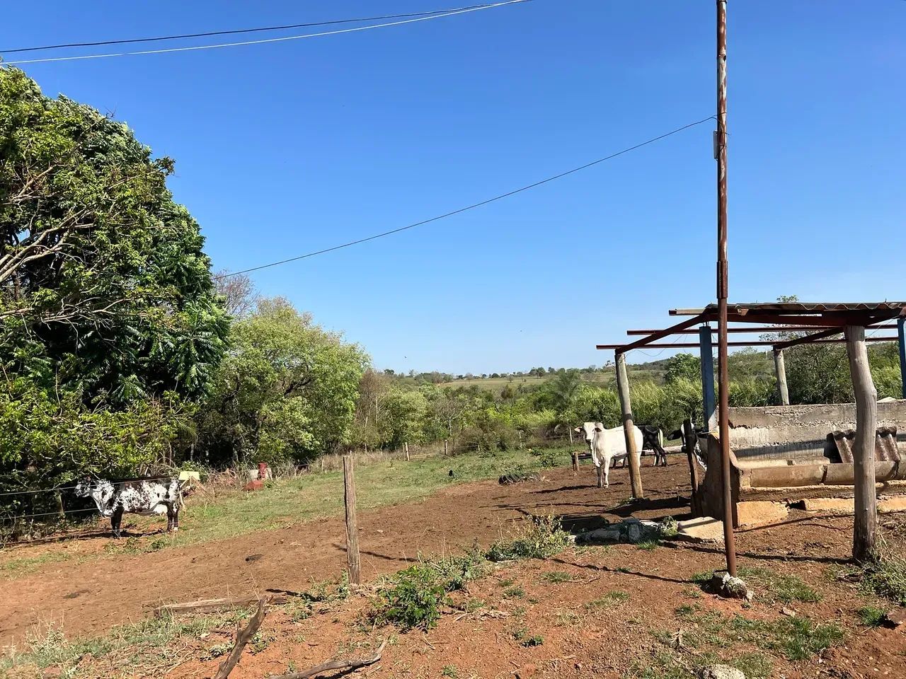 vendo fazenda Uberaba Santa rosa - Foto 4