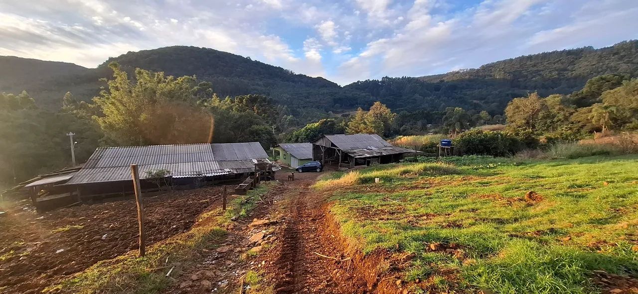 Chácara  - Foto 5