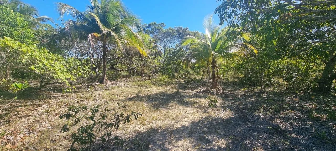 VENDO, OPORTUNIDADE ÚNICA  - Foto 4