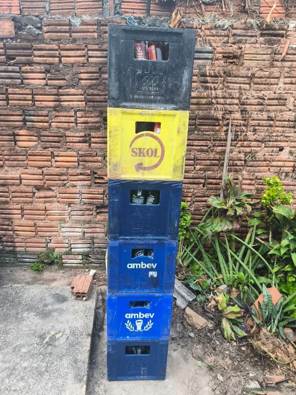 Caixa de cerveja 