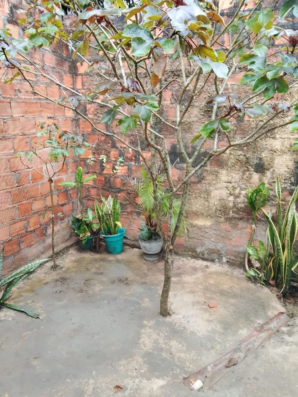 Vendo casa no santos Dumont 