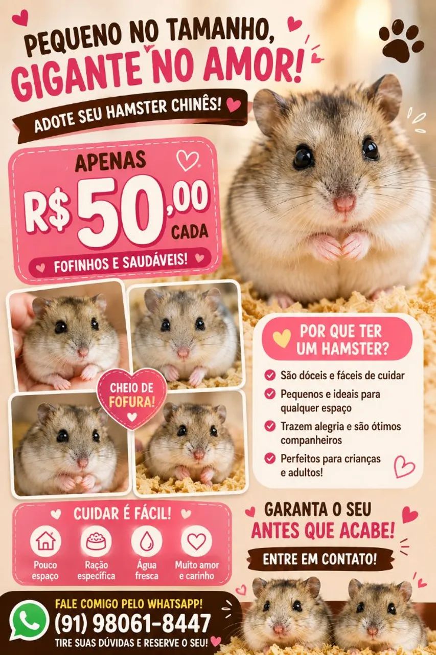 Hamsters 