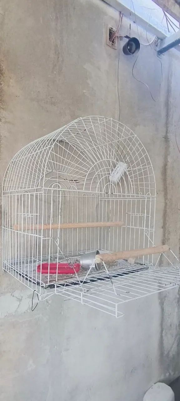 GAIOLA GRANDE - Foto 2