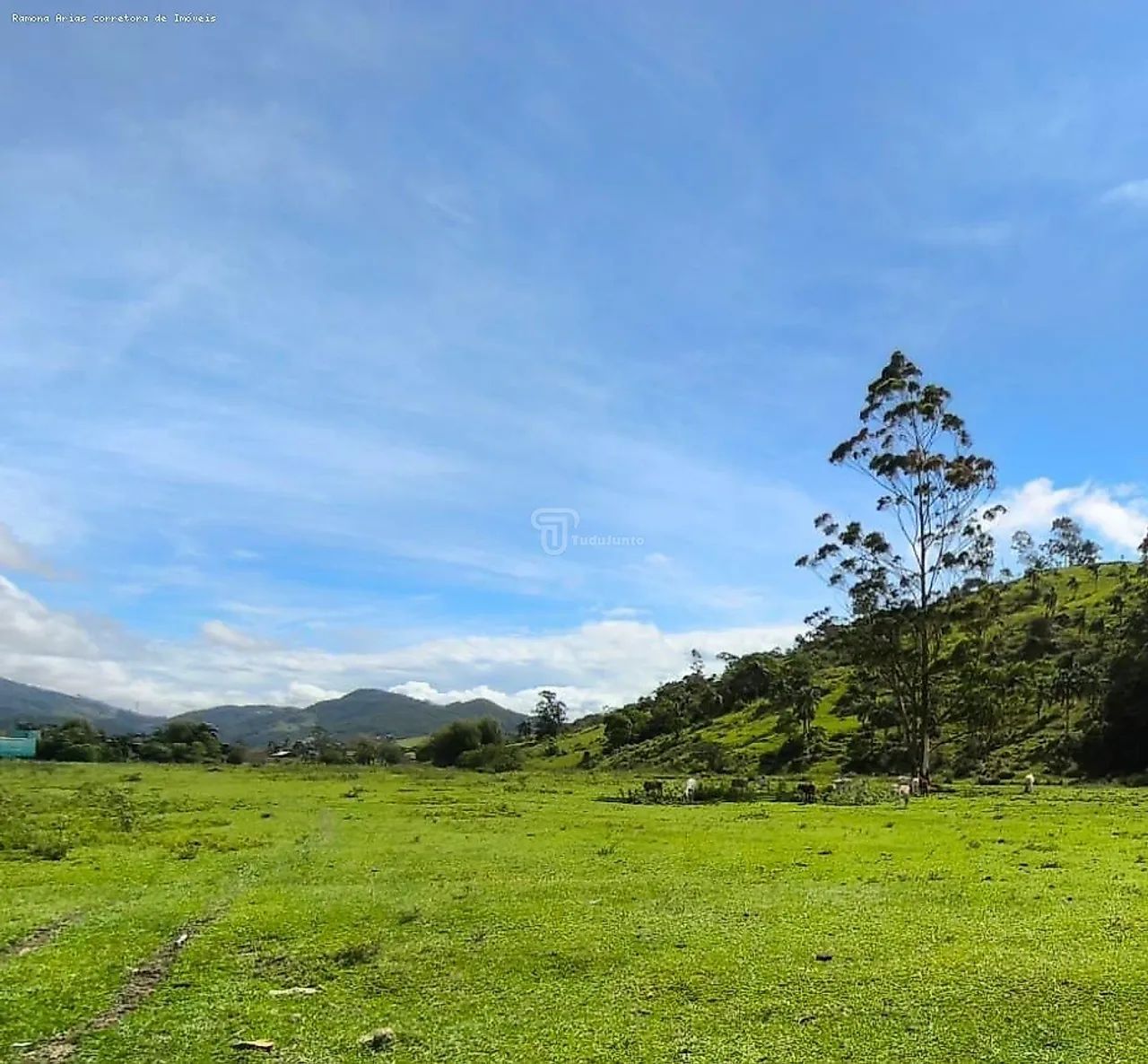 Terreno para Venda em Garopaba, Penha - Foto 4