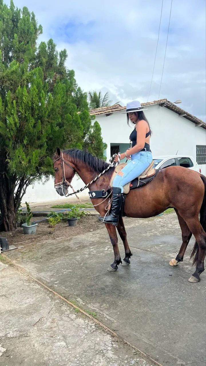 Cavalo a venda - Foto 2