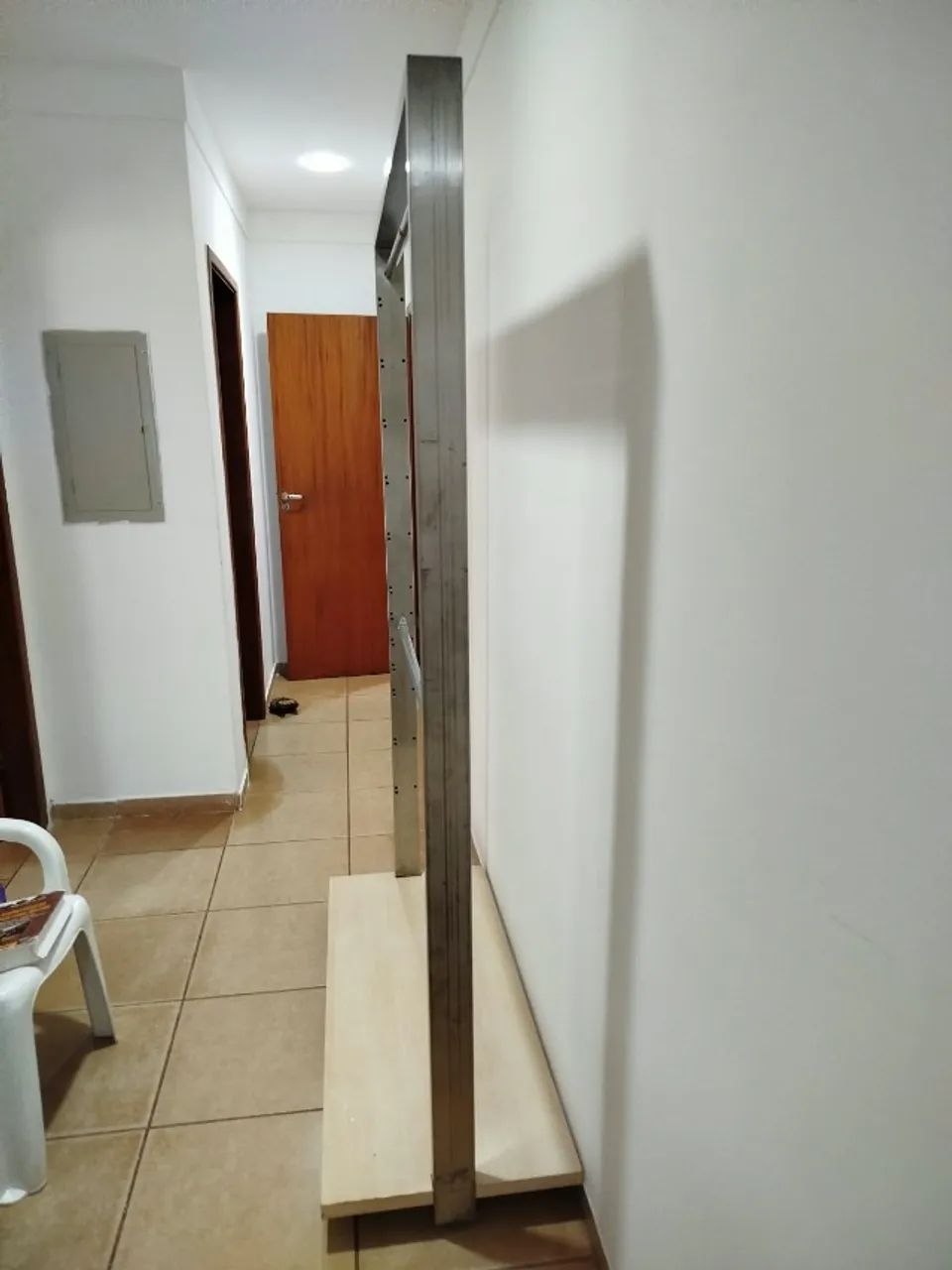arara - Foto 3