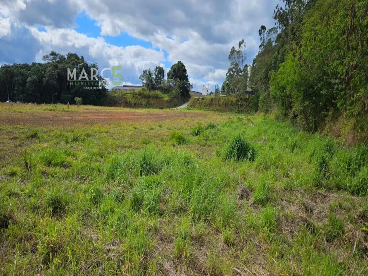 Venda - AREA - LARANJA AZEDA Aruja SP - Foto 5