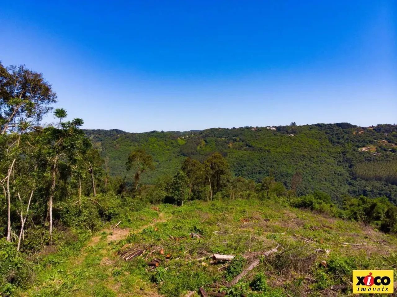 Sítio / Chácara para Venda em Nova Petrópolis, São Jacó - Foto 3