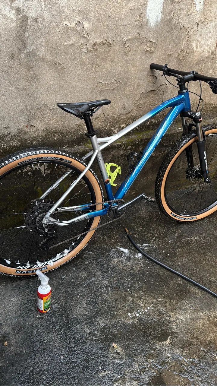 Bike Audax 29