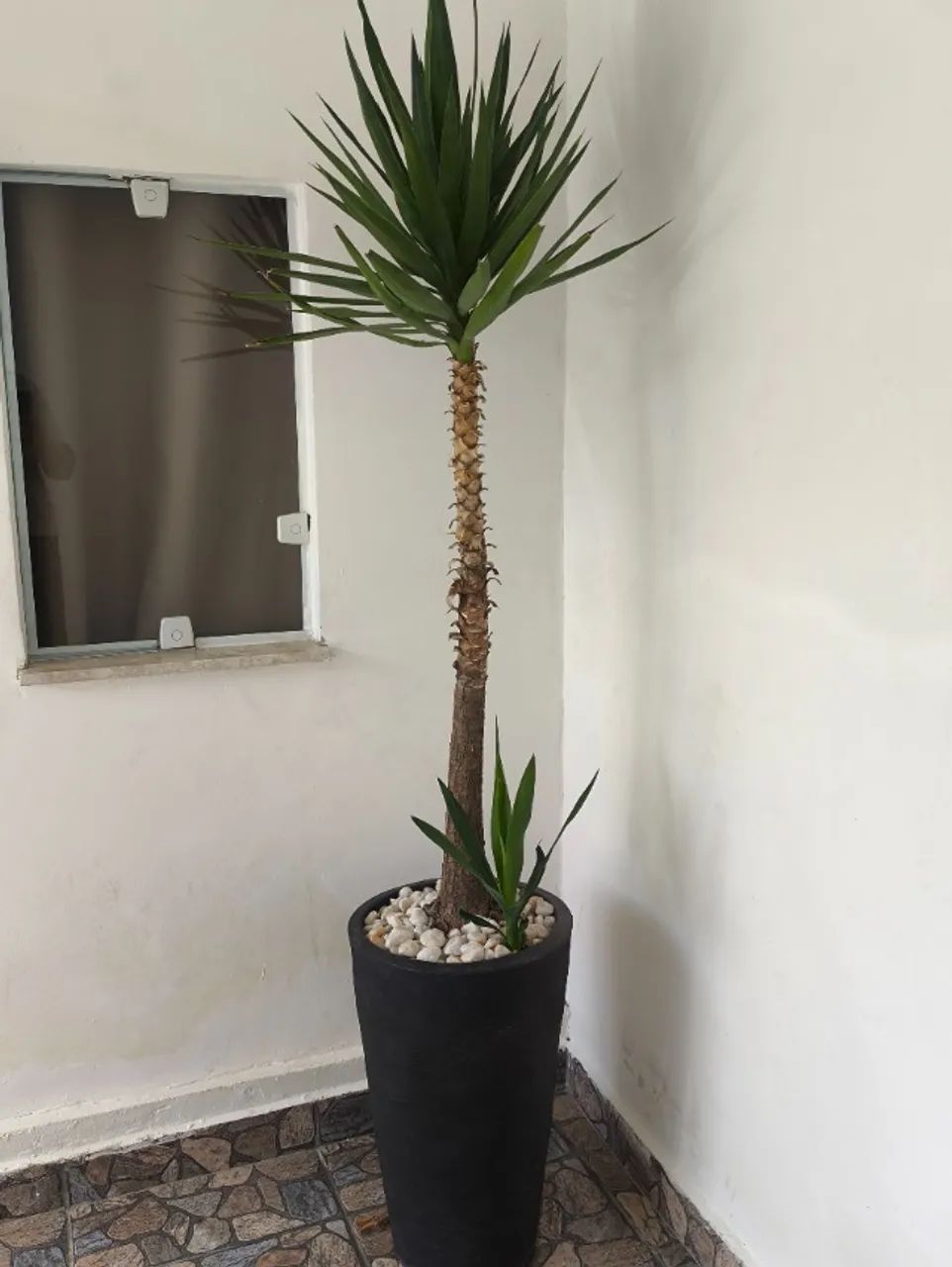 Vaso de planta - Foto 3
