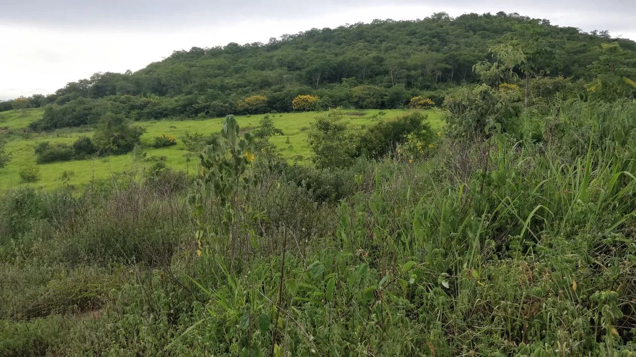 Fazendinha em Bonfinópolis de Minas - Foto 4