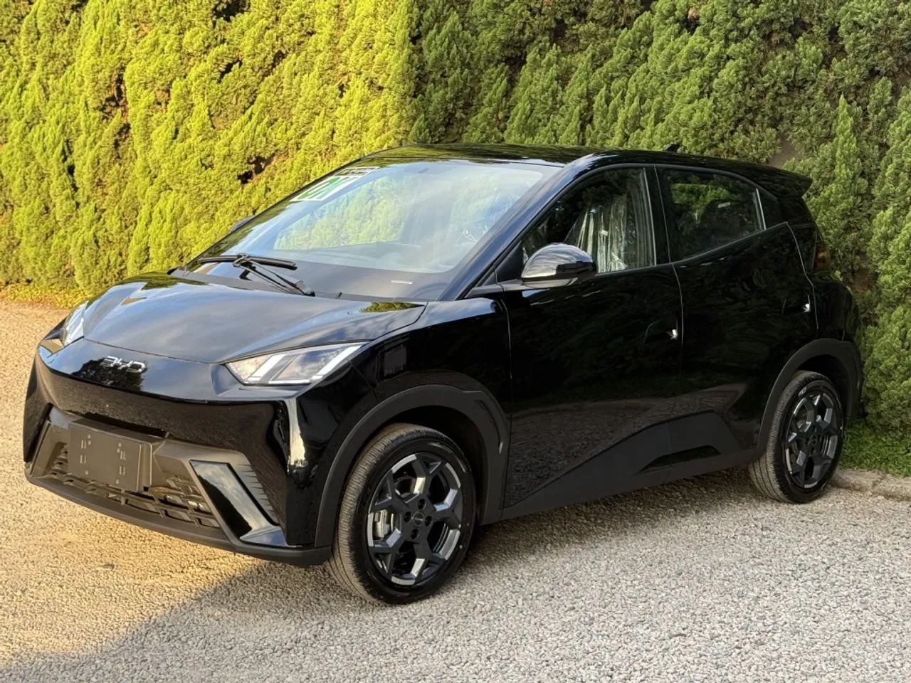 BYD Dolphin Mini (Elétrico) 2027 - Foto 2