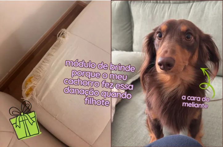 Sofá modular creme de linho (usado) - 2 módulos + 1 de brinde - Foto 4