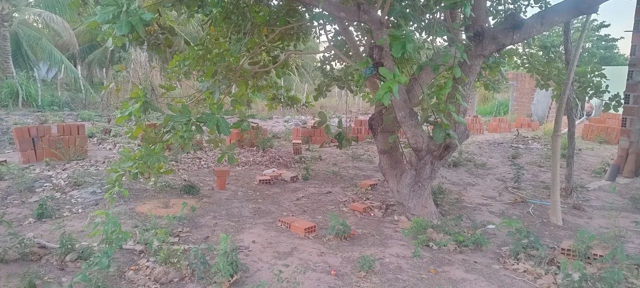 Vendo ou troco terreno com casa  - Foto 11