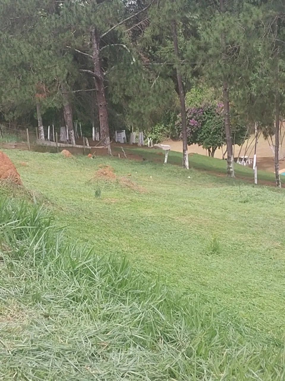 Foto - Igaratá - 