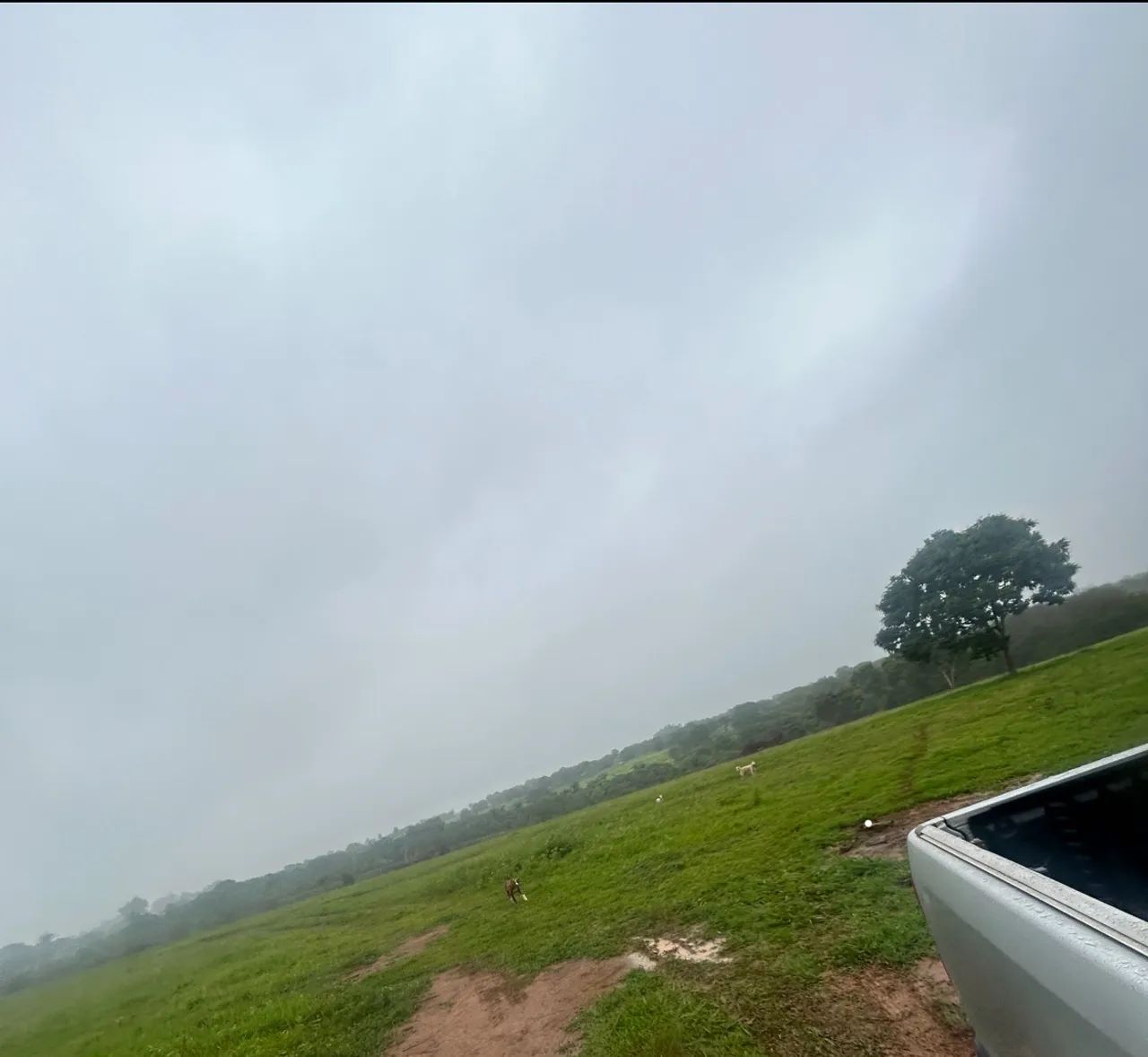 Fazenda para arrendar  40 minutos de Cuiabá  - Foto 3