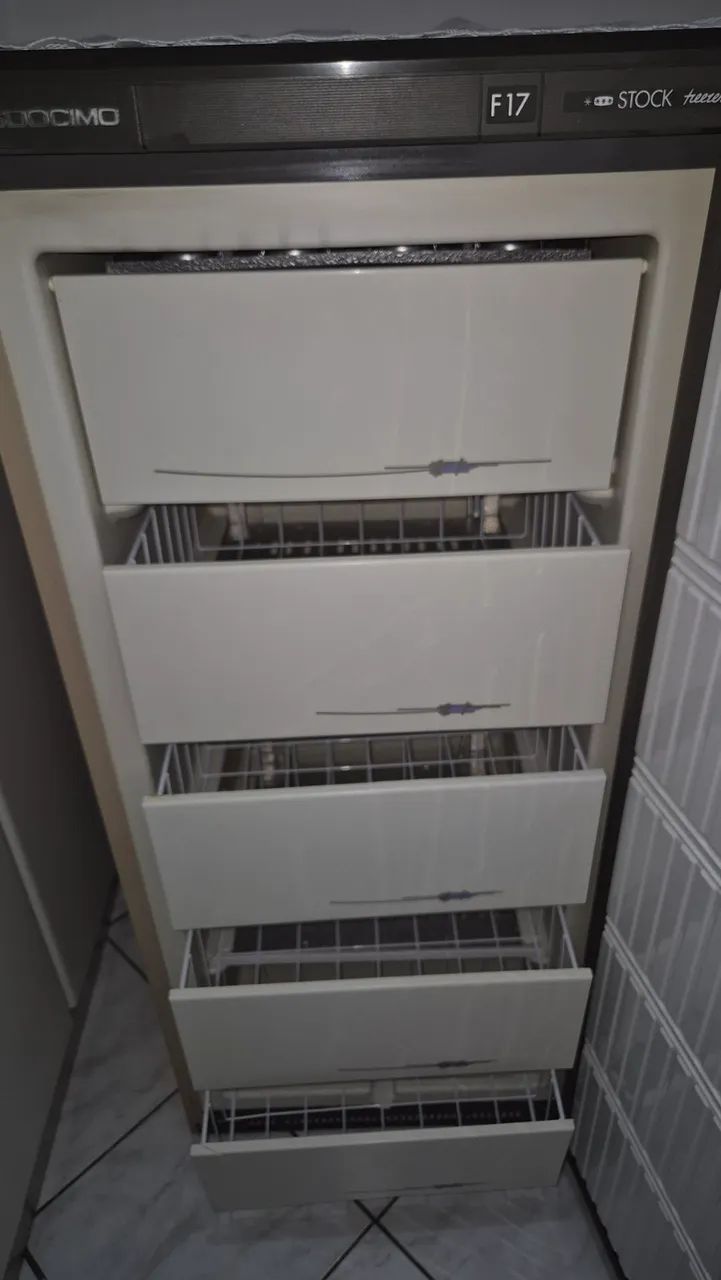 Freezer vertical Prosdocimo - Foto 4