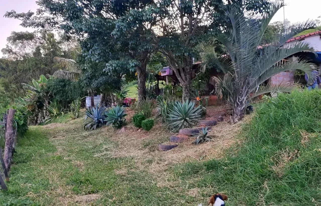 Casa boa , 17 mil pés de café - Foto 4
