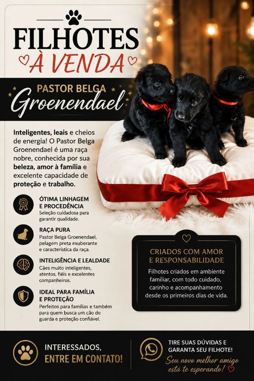 Animais