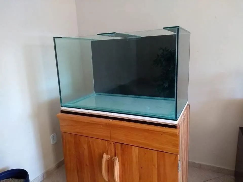 Aquário 