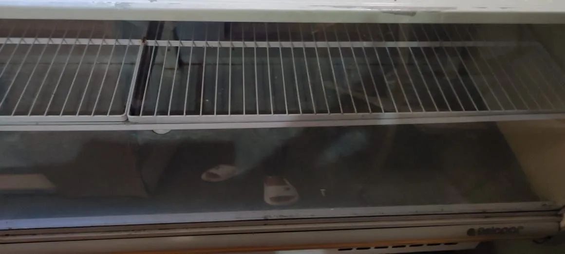 Vendo freezer - Foto 4