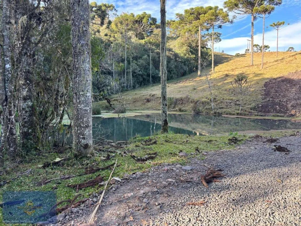 Área Rural para Venda em Urubici, Panelão - Foto 2