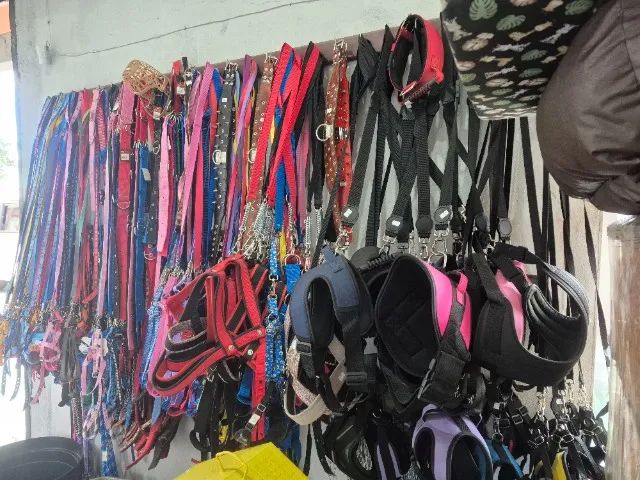 Maquinário pet shop  - Foto 4