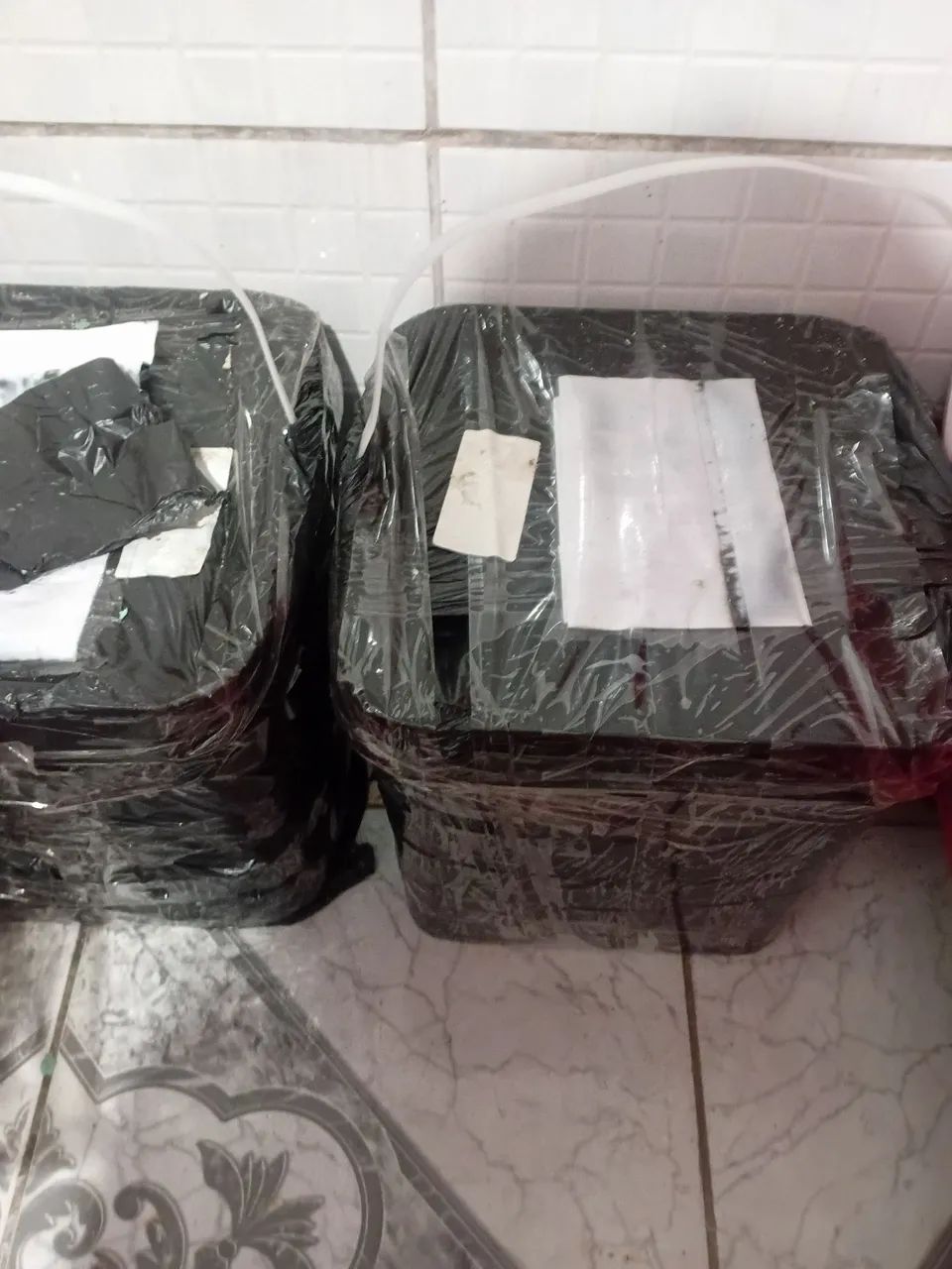 Tintas emborachada  - Foto 2