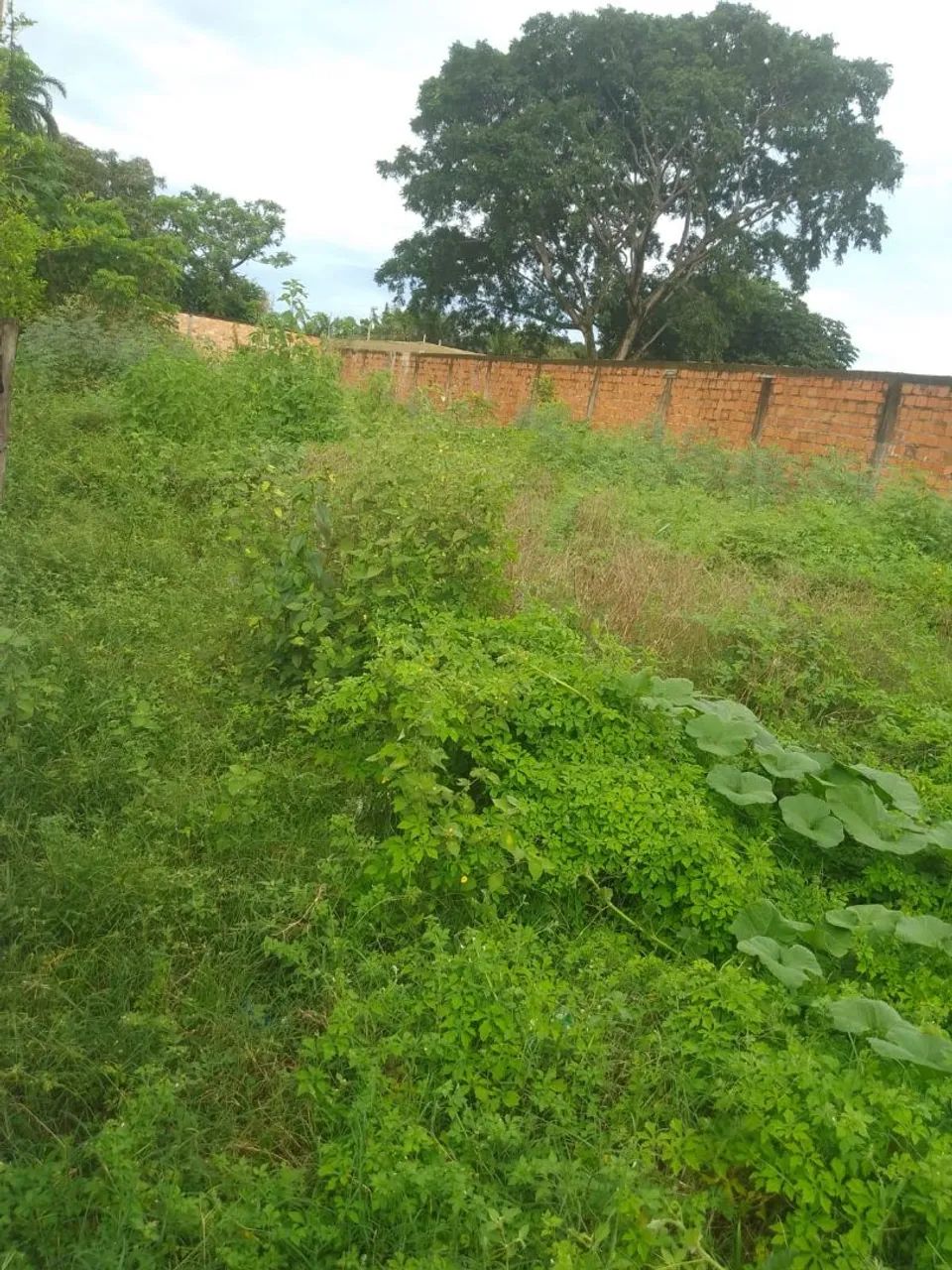 Casa à venda em Soure - Foto 4