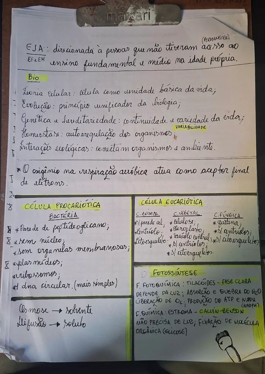 Aulas particulares de Biologia e Química avançadas - Foto 2