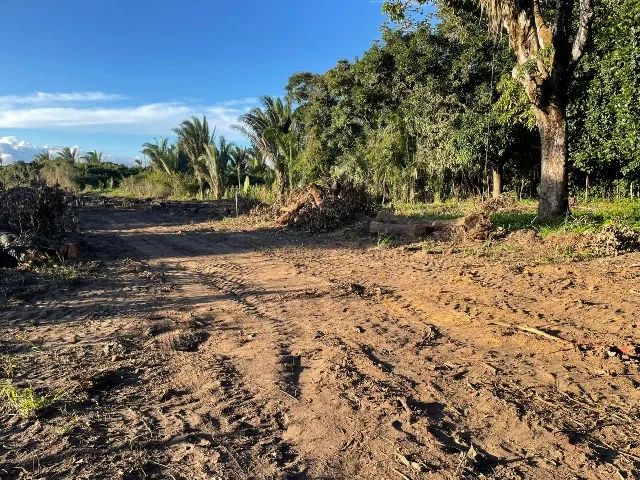 Foto - Viçosa do Ceará - 