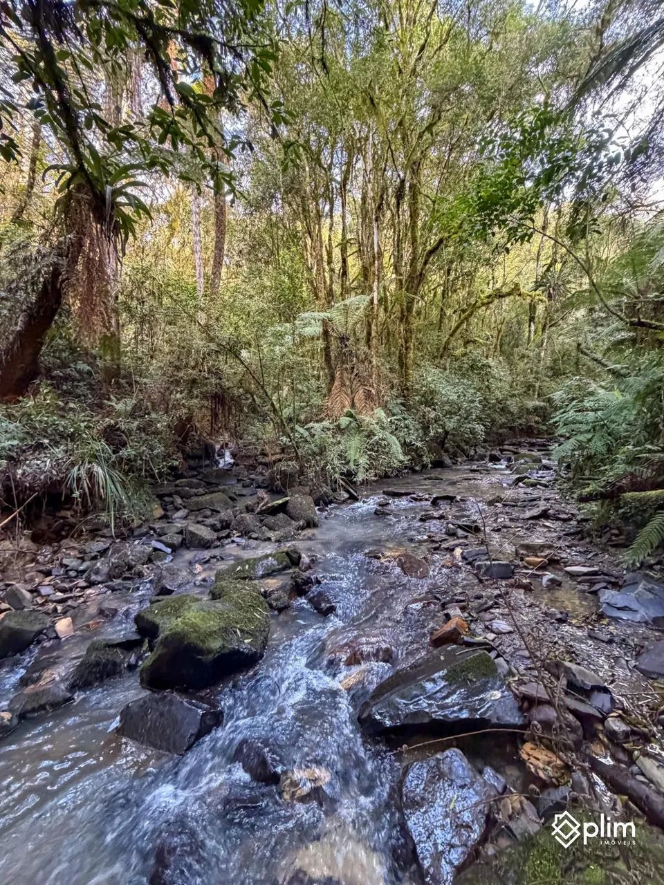 Sítio de 3,8 hectares  Bom Retiro, Serra Catarinense - Foto 2