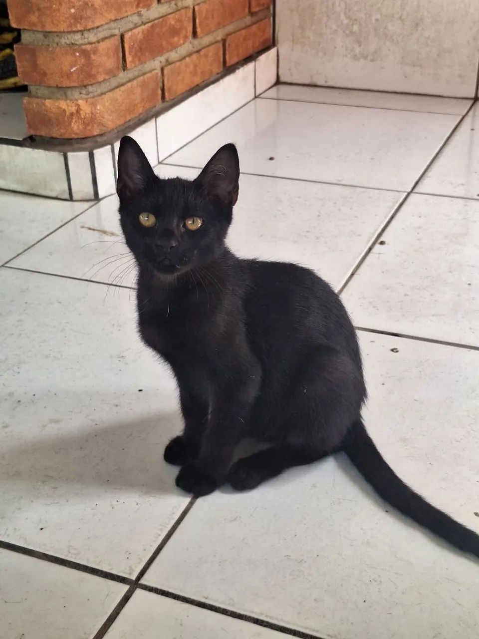 Galera, tô aqui pra ver se alguém se interessa em