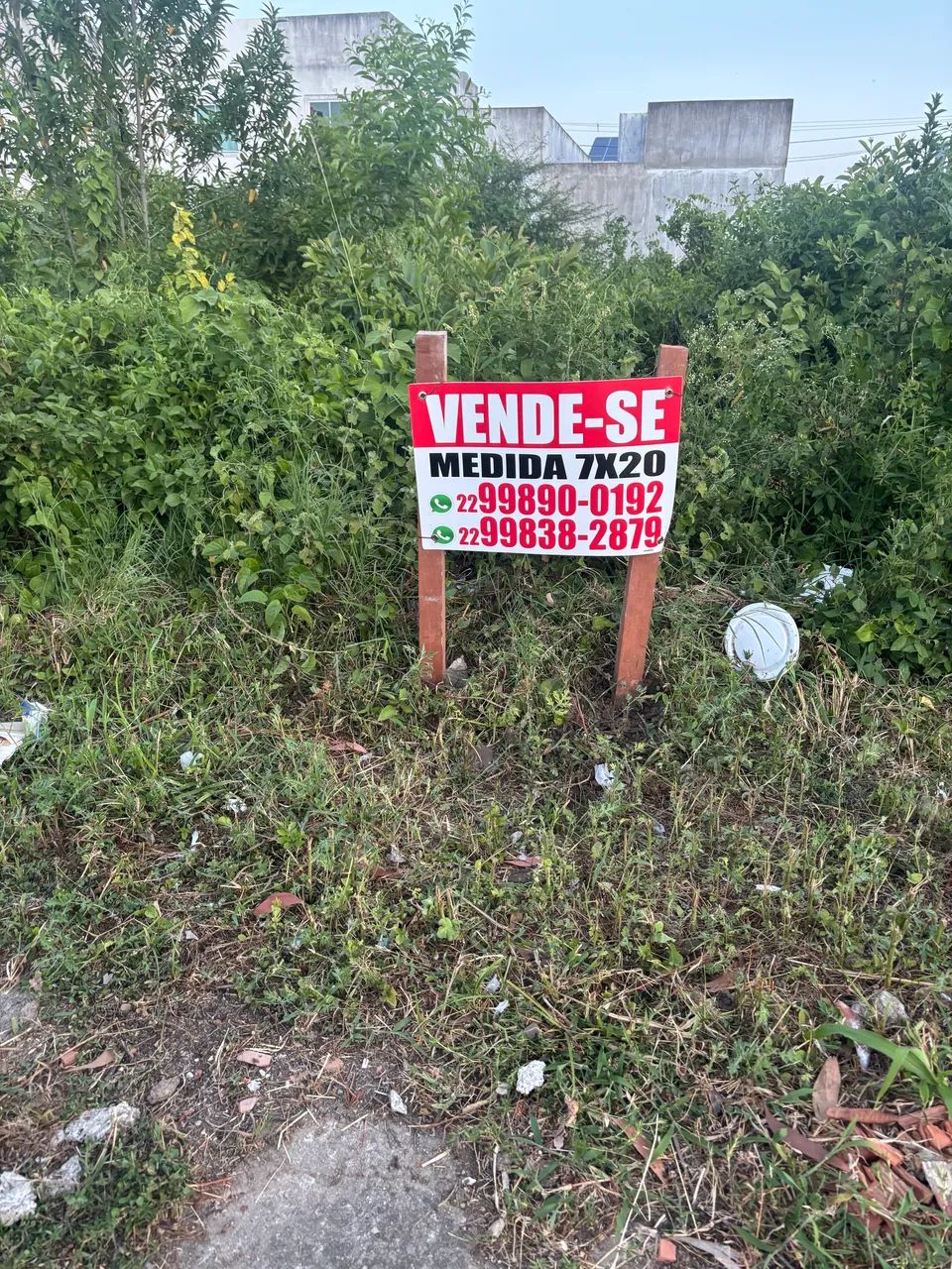 Foto - Campos dos Goytacazes - Parque Aurora