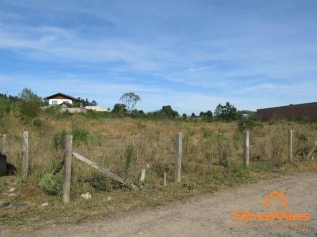 Terreno para Venda, 5.277,53 m², São Bento do Sul / SC, bairro Serra Alta - Foto 4