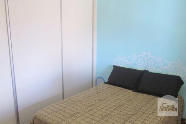 Casa à venda com 3 dormitórios em Palmeiras, Belo horizonte cod:104304 - Foto 3
