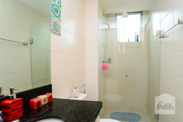 Apartamento à venda com 3 dormitórios em Alto caiçaras, Belo horizonte cod:12632 - Foto 9