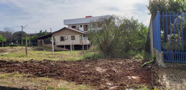 Terreno à venda em Rondônia, Novo hamburgo cod:17182