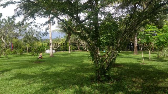 Chácara, Zona Rural, São Gonçalo dos Campos-BA - Foto 11