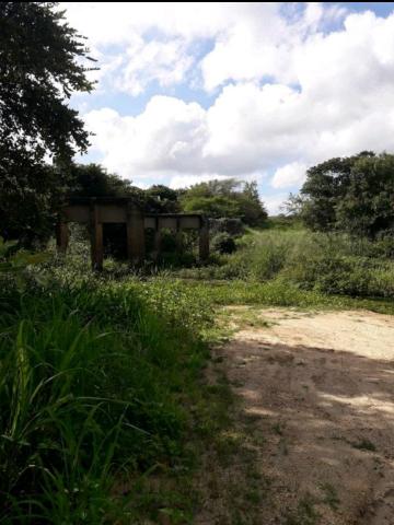 Fazenda rural em forquilha - Foto 9