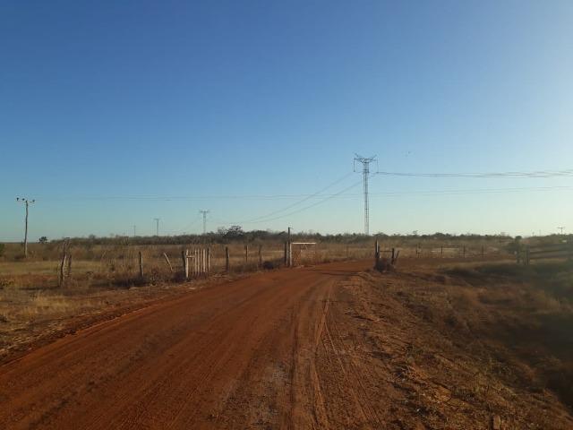 Chácara 04 hectares - Flores de Goiás - Foto 5