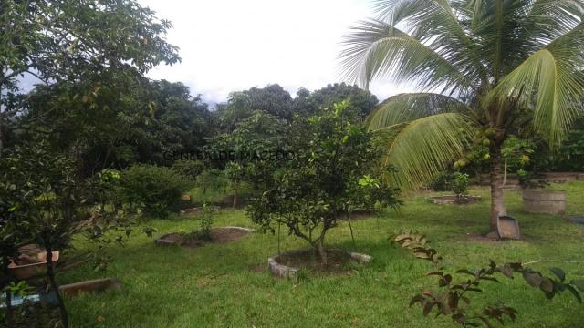 Chácara, Zona Rural, São Gonçalo dos Campos-BA - Foto 9