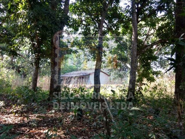 Otima Fazenda Muni. de Santo Antonio de Leveger a 20 km de Cuiabá - Foto 6