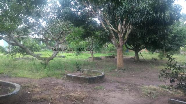 Chácara, Zona Rural, São Gonçalo dos Campos-BA - Foto 7