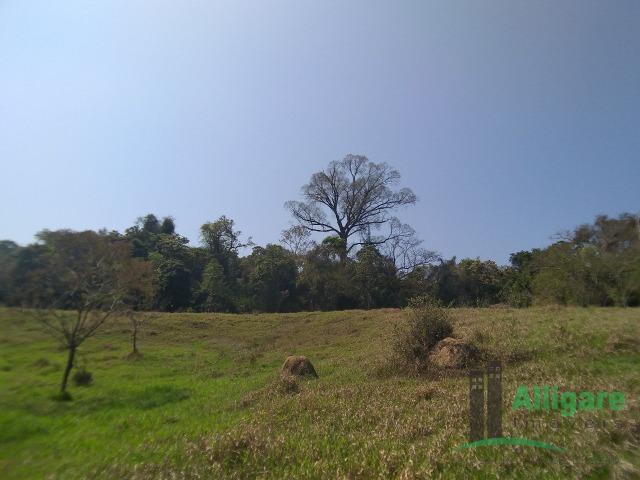 Fazenda Em Pouso Alegre - Foto 12