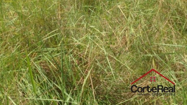 Chácara à venda em Centro, Corumbá cod:8013 - Foto 8