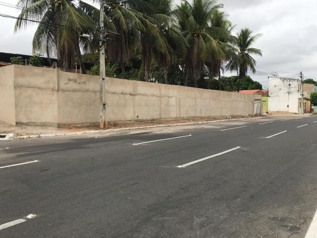 Terreno para alugar - Foto 3
