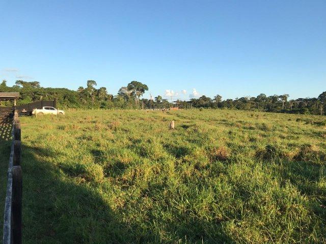Fazenda no Acre - Foto 9
