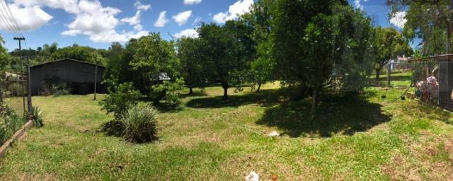 Área para venda em estância velha, união - Foto 14