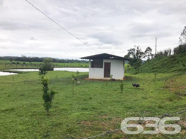 Chácara à venda com 3 dormitórios em Vila nova, Joinville cod:01028884 - Foto 19